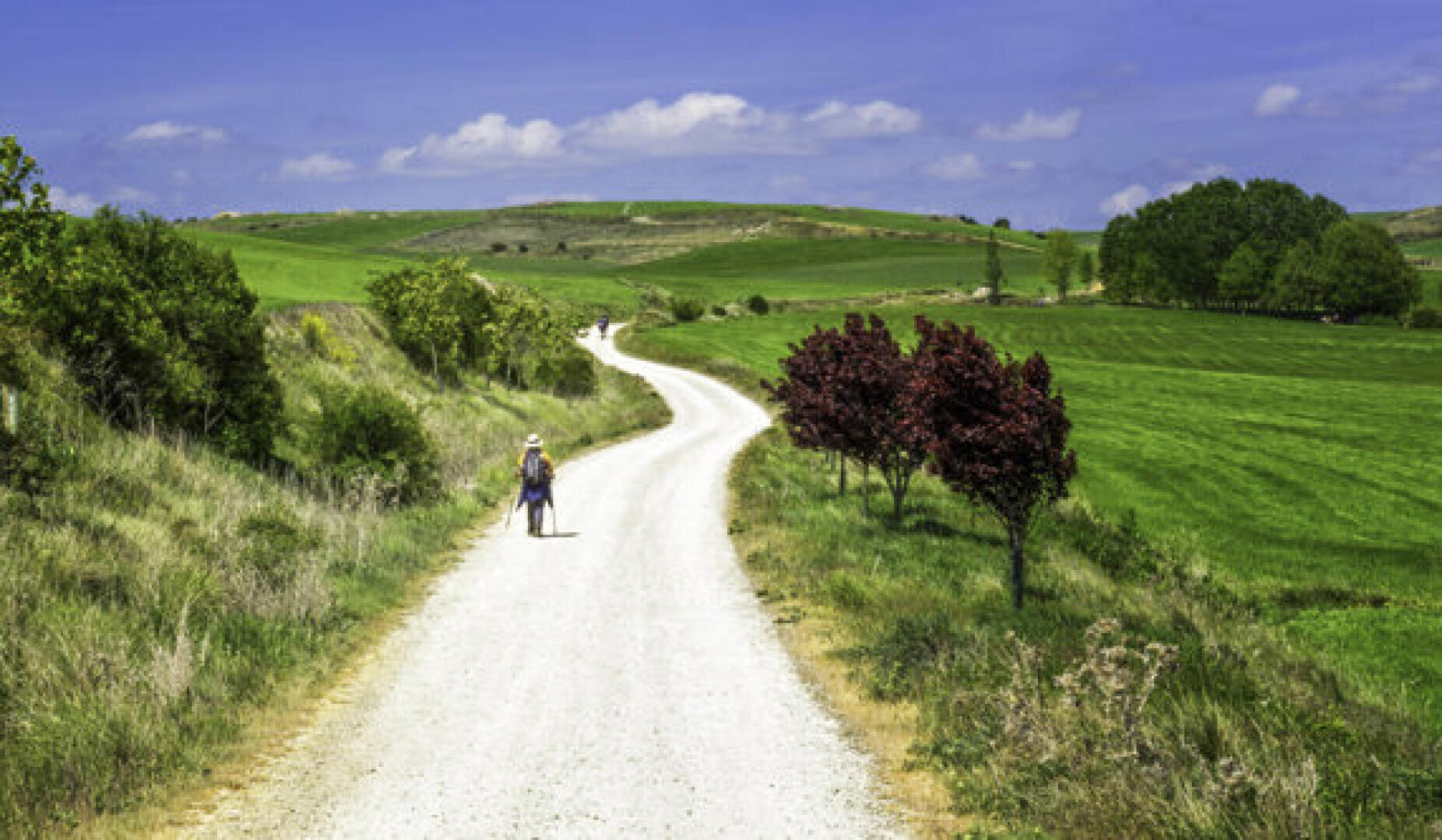 Eine Person mit einem Rucksack geht auf einem gewundenen Feldweg durch grüne Felder und sanfte Hügel unter einem blauen Himmel mit vereinzelten Wolken. Rotblättrige Bäume säumen einen Teil des Weges.