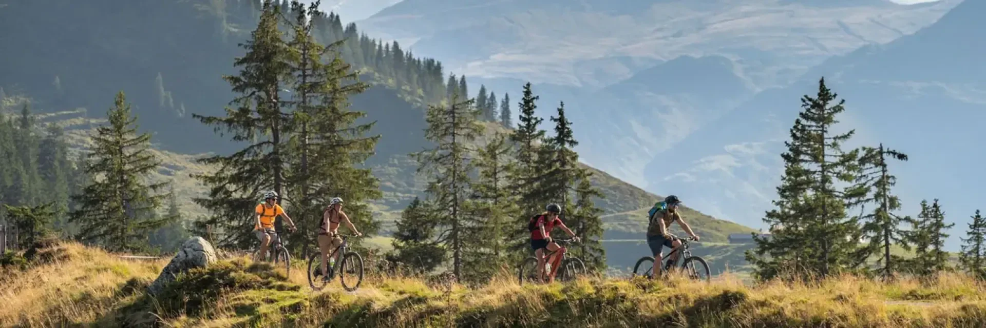 Vier Personen fahren mit ihren Mountainbikes einen grasbewachsenen Weg entlang, der von Kiefern umgeben ist, mit sonnenbeschienenen Bergen und einem bewaldeten Tal im Hintergrund. Die Szene zeigt ein Outdoor-Abenteuer in einer malerischen, bergigen Landschaft.